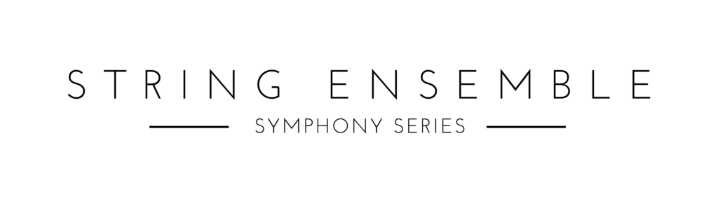 NI Symphony Series String Ensemble Logo Black