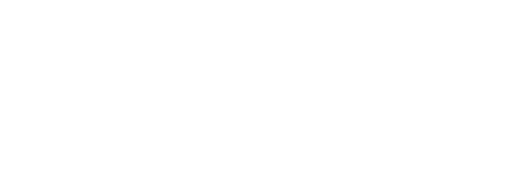 NI THRILL Logo white