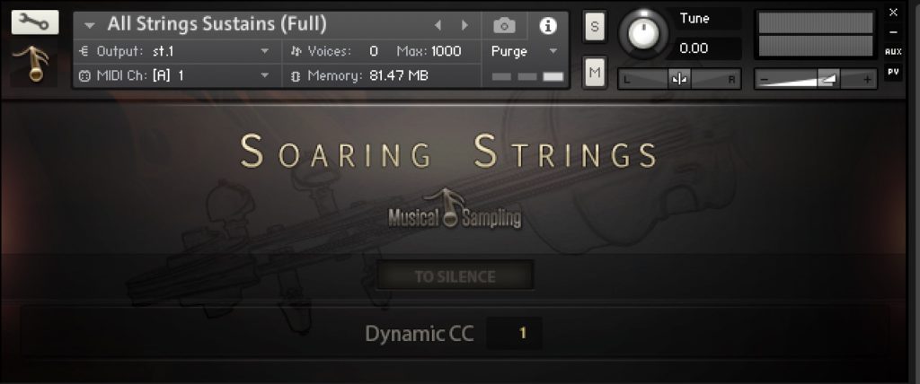 Soaring String by Musical Sampling Review 3