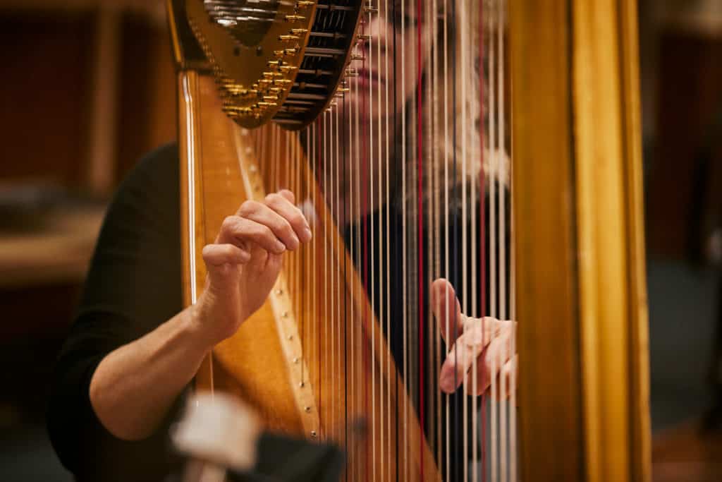 BBC Symphony Orchestra by Spitfire Audio Auntie 35 Harp Product LKP 1825