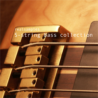 realsamples 5 String Bass Collection