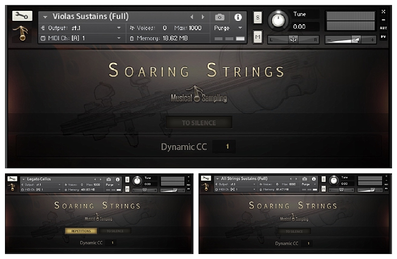 Soaring Strings Review by Musical Sampling