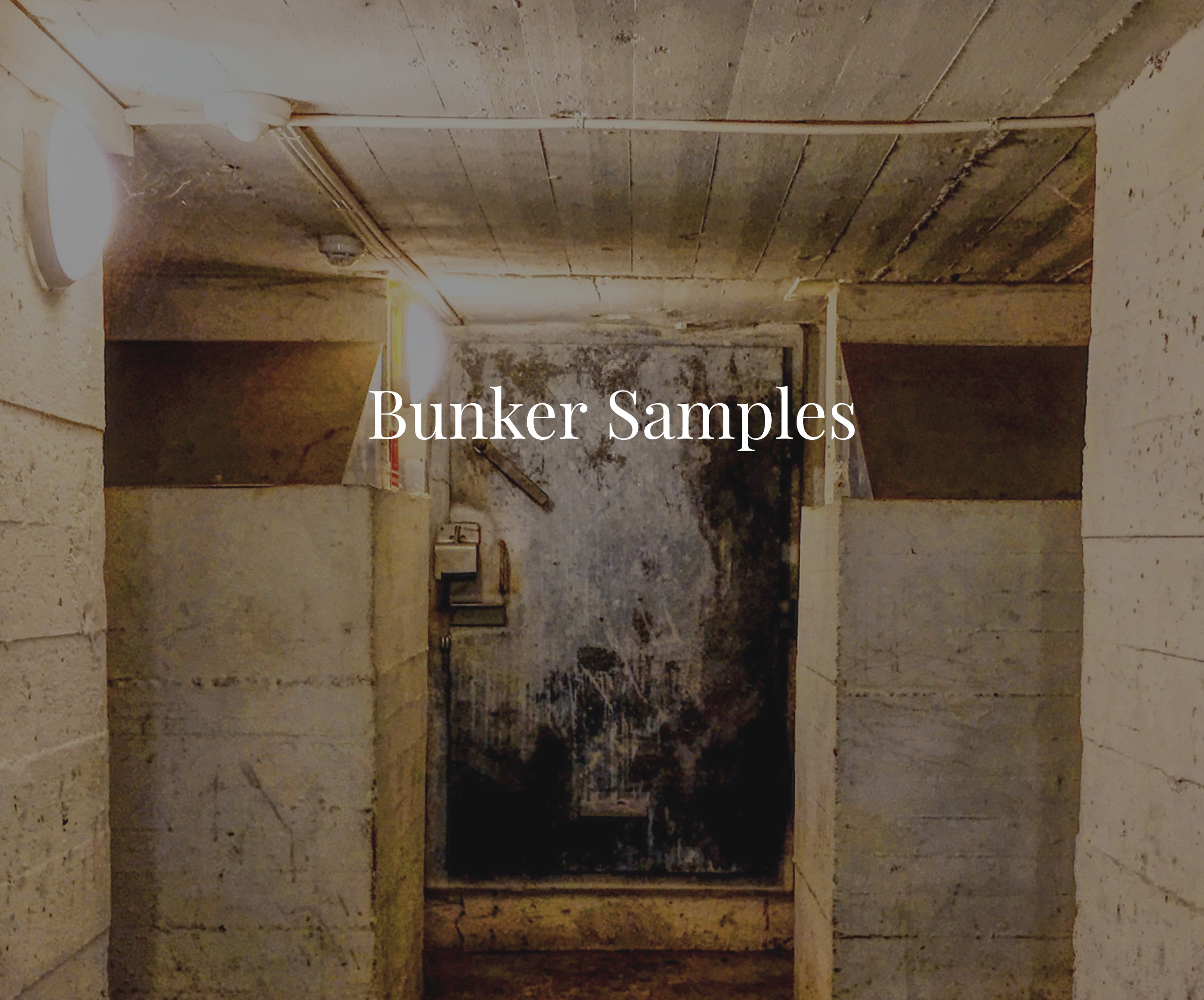Bunker Strings Vol.1 - cyber week pre-order discount