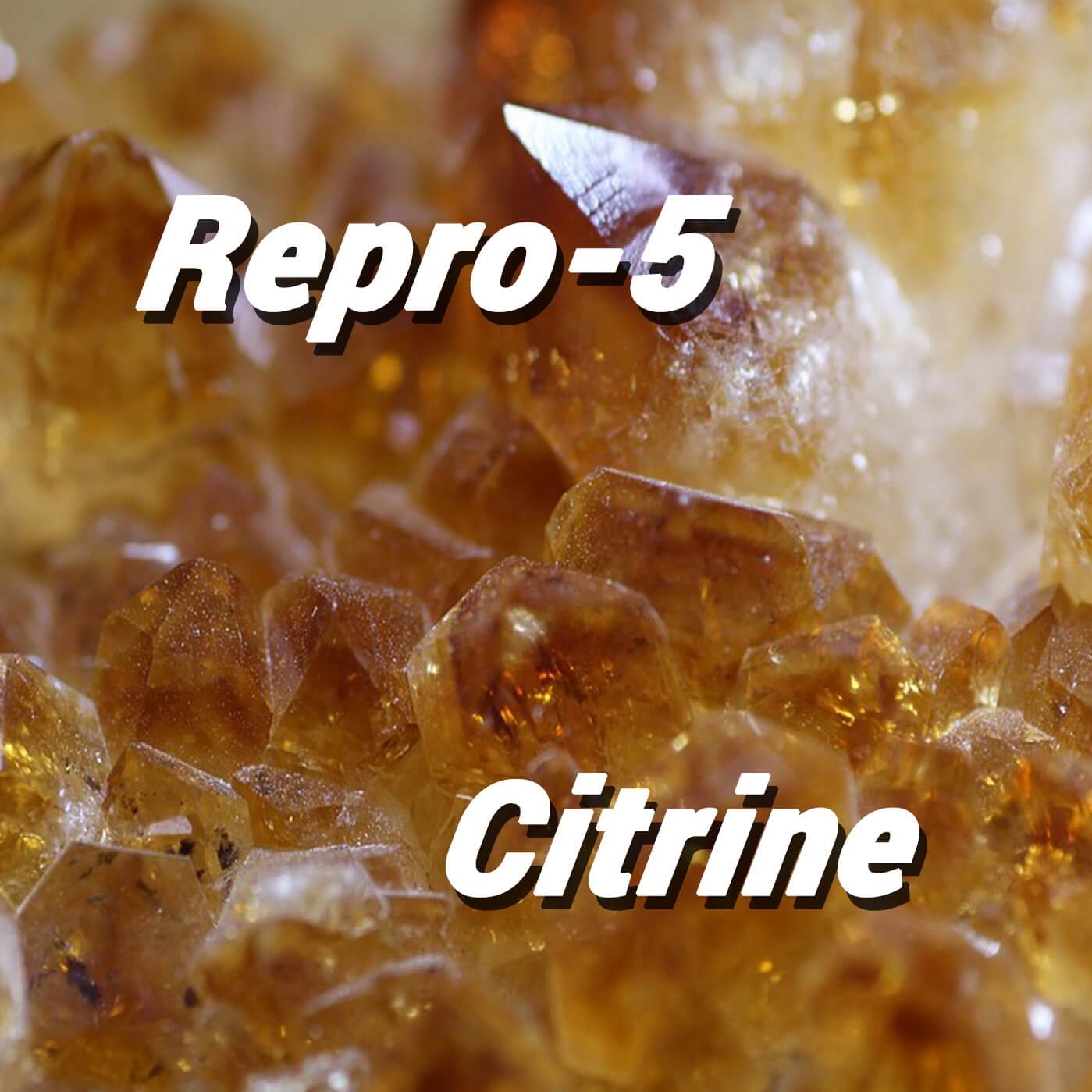 REPRO5 CITRINE by  Heartwood Soundware Review