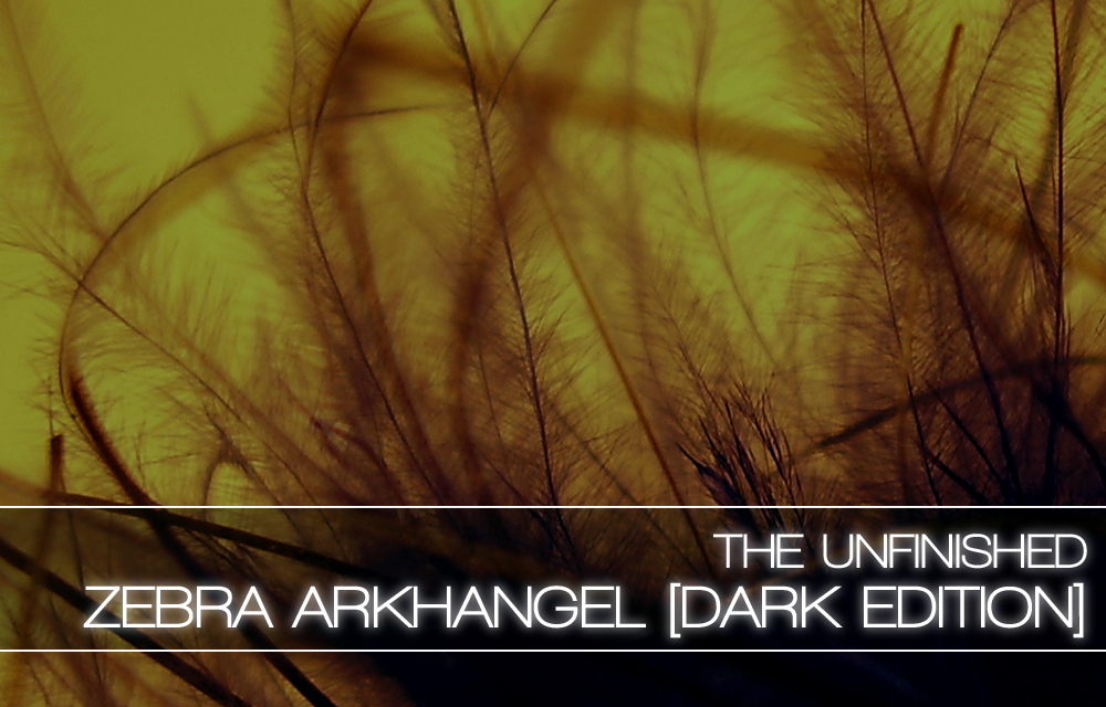 Zebra Arkhangel by The Unfinished  Released
