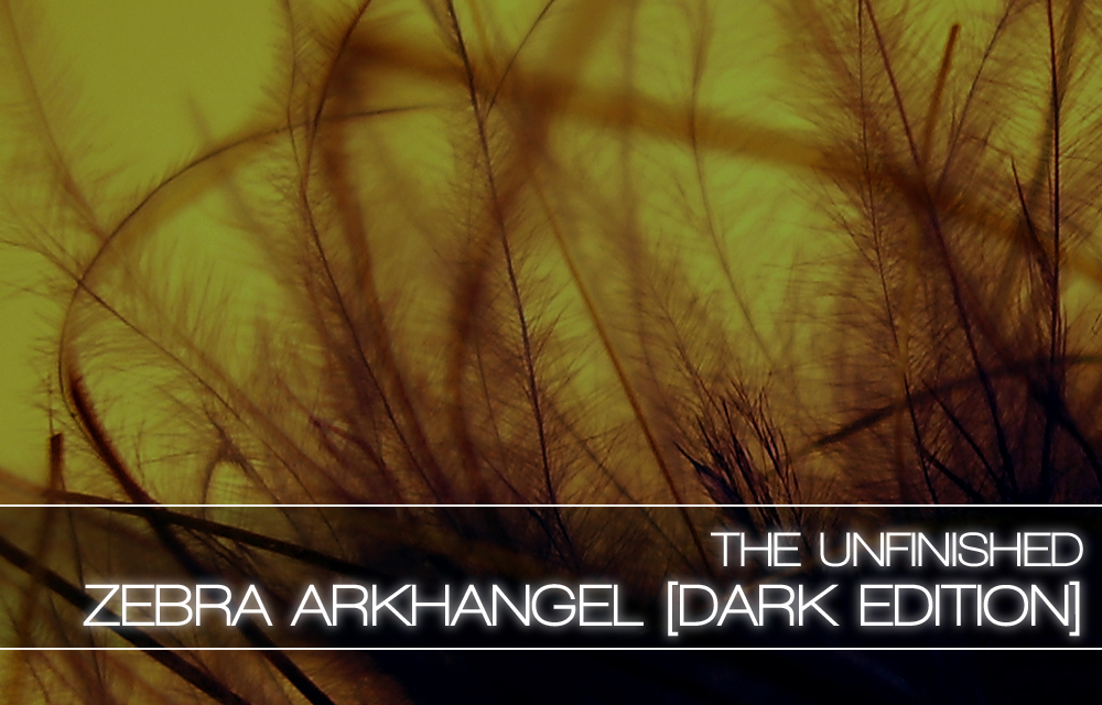 Zebra-Arkhangel-Dark-Edition