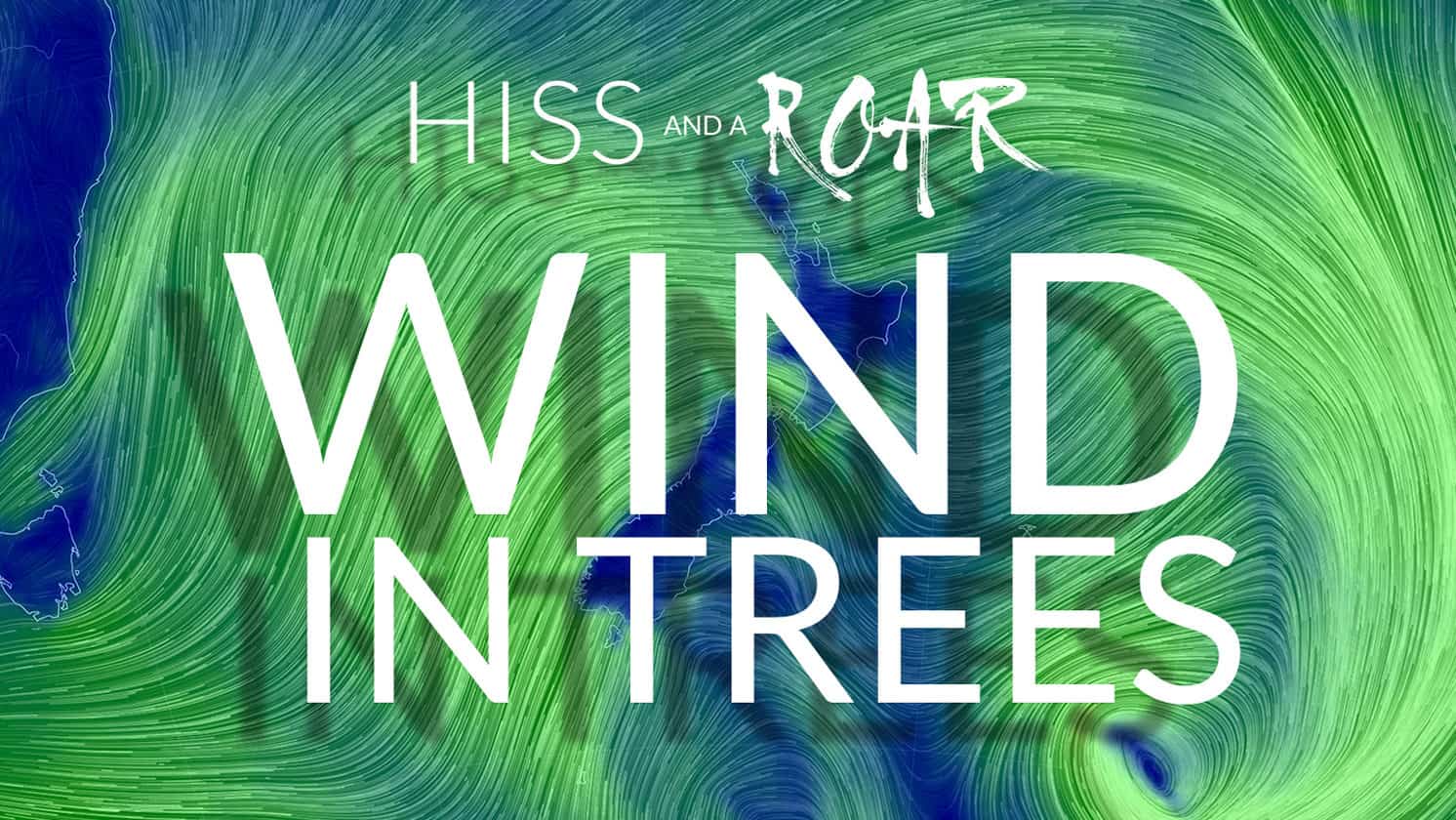 WIND IN TREES a New HISSandaROAR Library capturing the Wind Rising and the Forest Singing