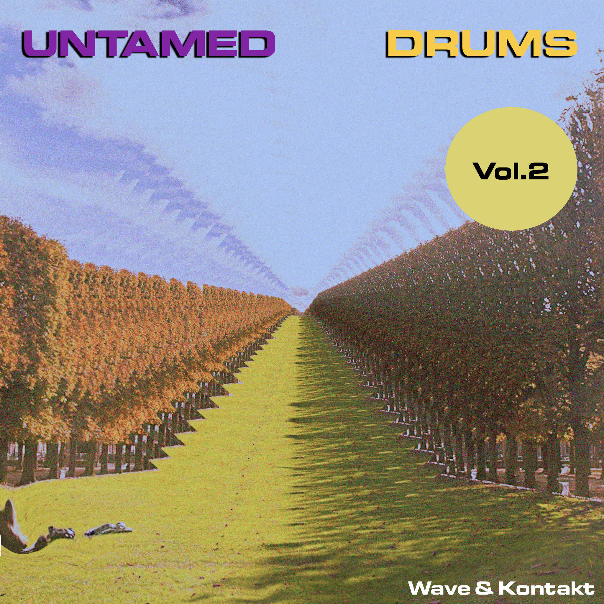Untamed Drums VOL.2 by Past To Future Samples