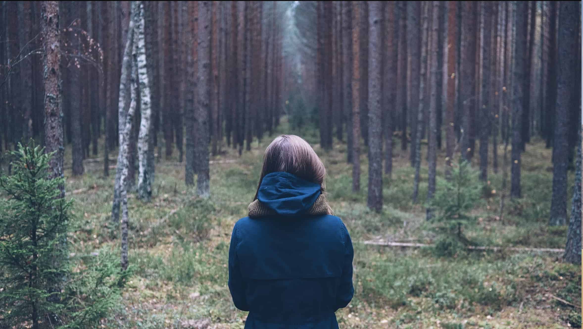 Black Forest: Ambiance Generator by Dacodaji
