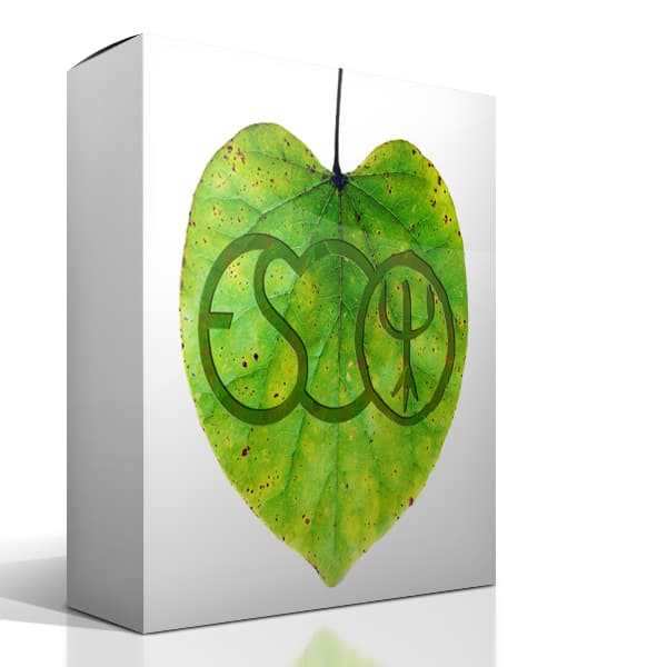 DeepForestBox