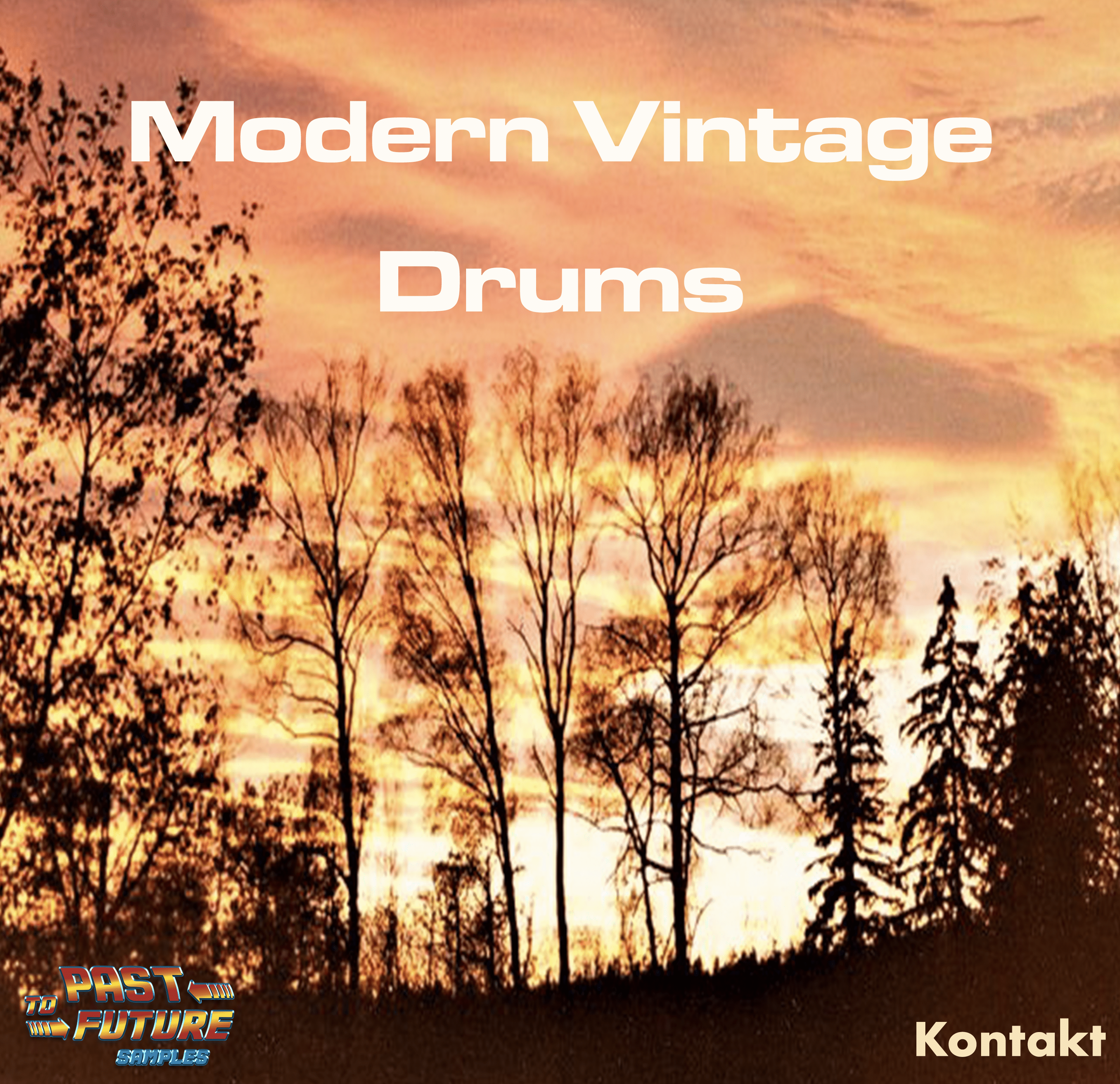 Big, Fat Modern Vintage Drums! 46 image 9