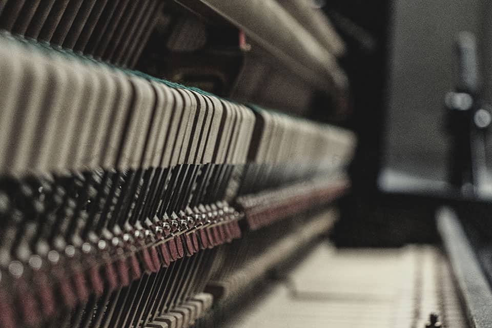Free Novel Piano by Sonic Atoms 5 np closeup 02