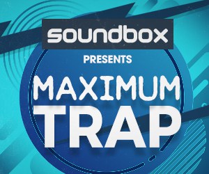 300 x 250 Maximum Trap