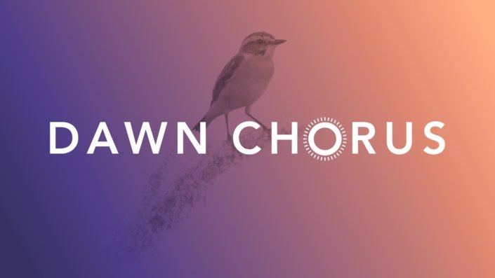 DAWN CHORUS A must Look and Listen to for Sound Designer