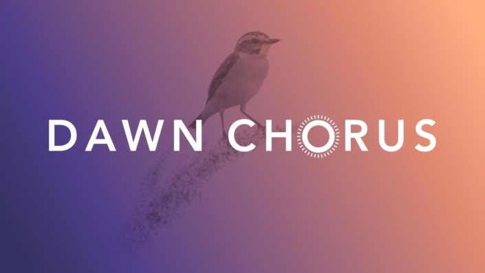 DAWN CHORUS - A must Look and Listen to for Sound Designer 31 DAWN CHORUS A must Look and Listen to for Sound Designer