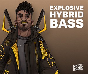 Vocal Roads – Explosive Hybrid Bass 57 300x250 5