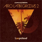 Loopmasters - Afro Latin Grooves 2 4 ALG2 Cover 140