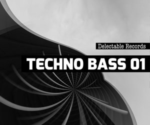 Delectable Records Techno Bass 300