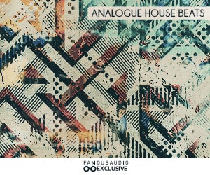 Famous Audio - Analogue House Beats 4