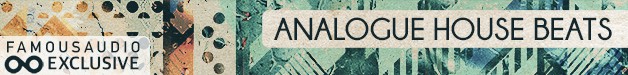 Famous Audio - Analogue House Beats 6