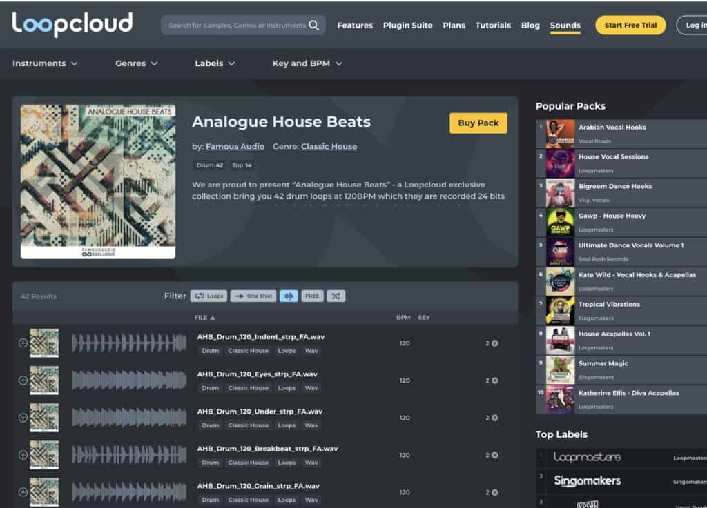 Famous Audio Analogue House Beats