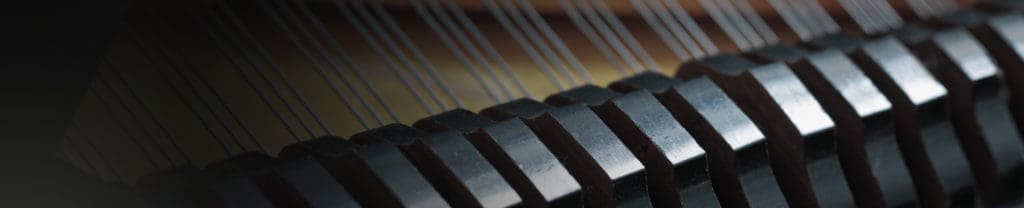 TRUE KEYS PIANO BUNDLE by VI LABS 5 Overview Header