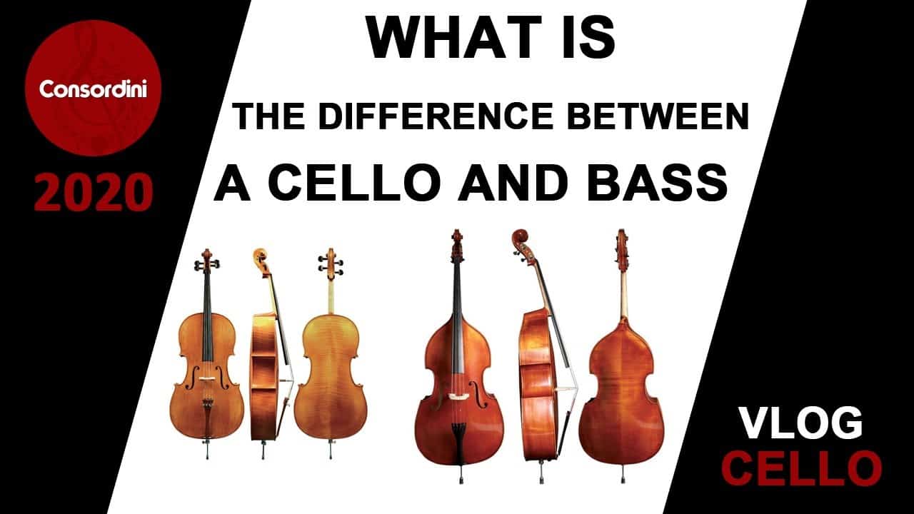 What is the Difference Between Cello and Bass