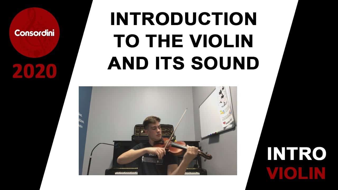 Introduction to the Violin and its Sound