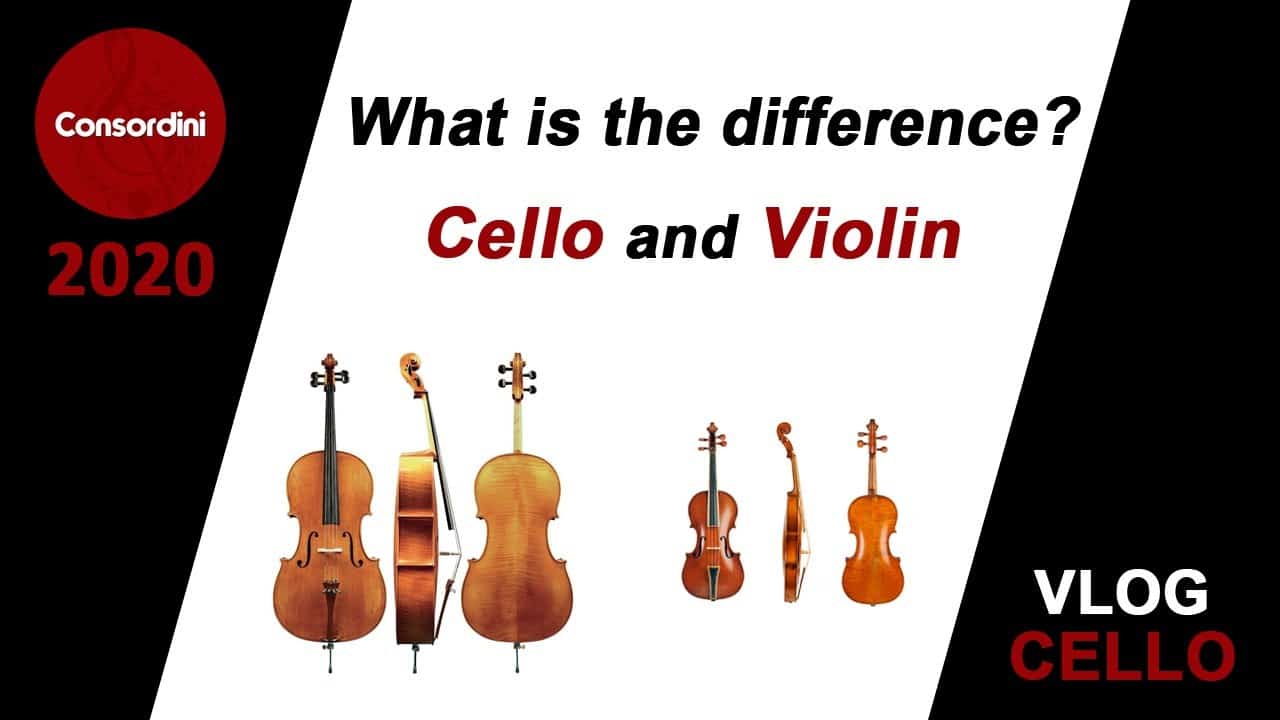 What is the Difference Between a Cello and Violin