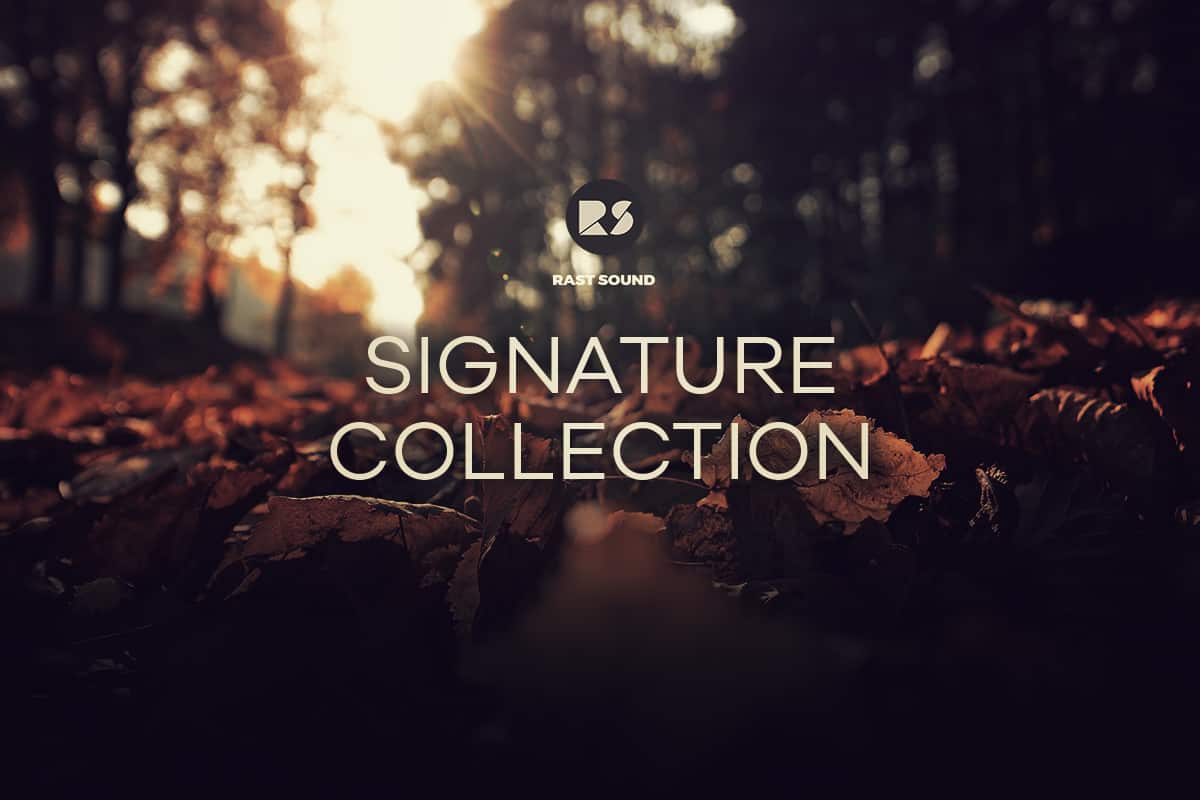 Siganture Collection the blog clicked
