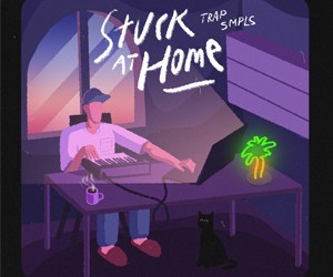 stuck at home 300x250 1