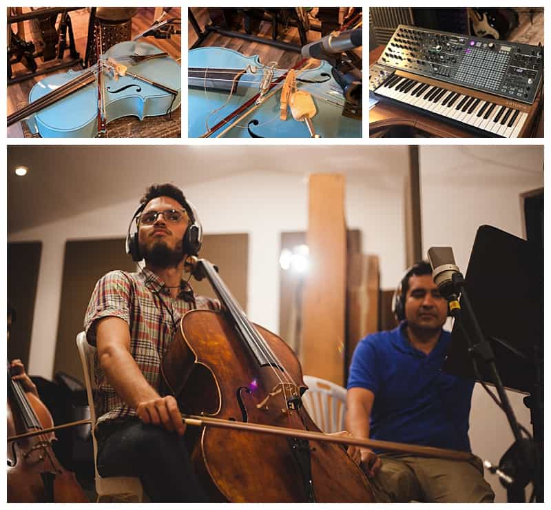 PulseSetter’s Cello Ibrida