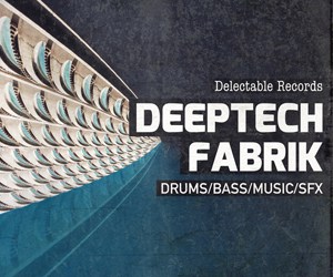 Deep Tech Fabrick 300