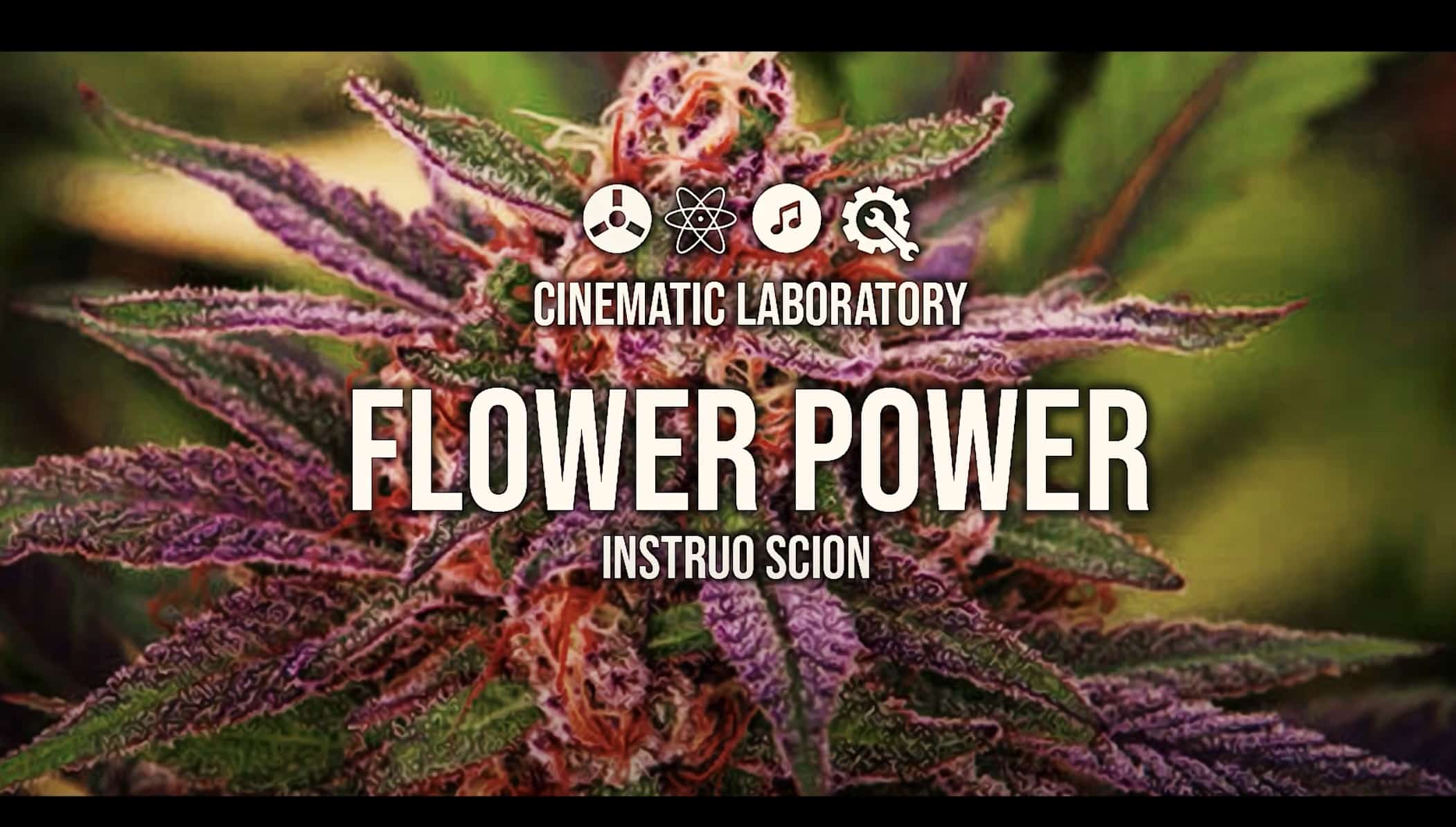 FlowerPower – Instruo #Scion
