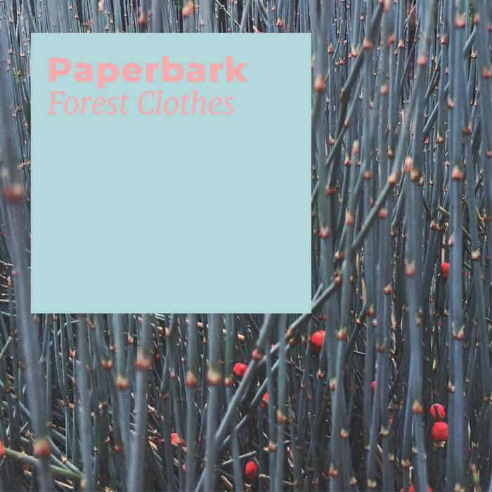 Seil Records Released Forest Clothes by Paperbark