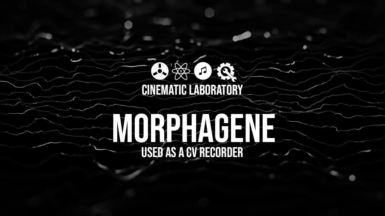 #Morphagene | Used as a CV Recorder 31 maxresdefault 35