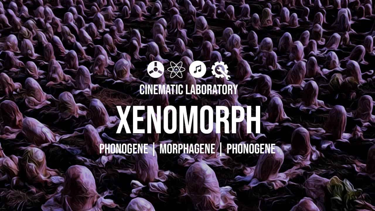 Xenomorph | Phonogene, Morphagene, Phonogene