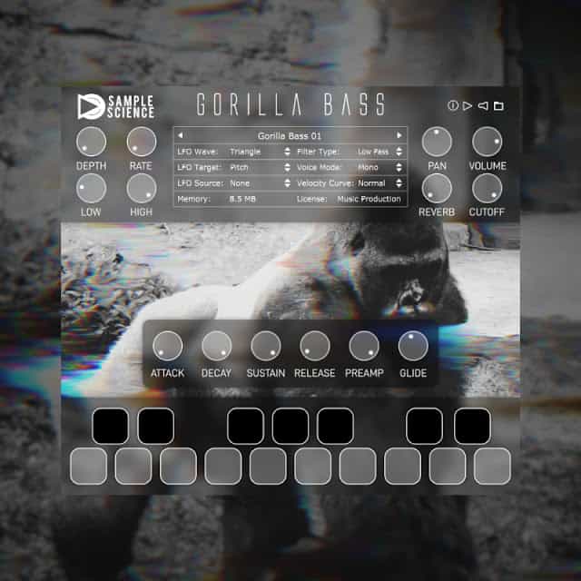 Gorilla Bass Free or Pro Version 56 Gorilla Bass Free or Pro Version