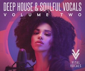 VITAL VOCALS DEEP HOUSE SOULFUL VOCALS VOL 2 300X250
