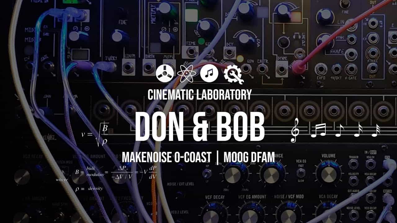 Don & Bob | MakeNoise 0-Coast + Moog DFAM