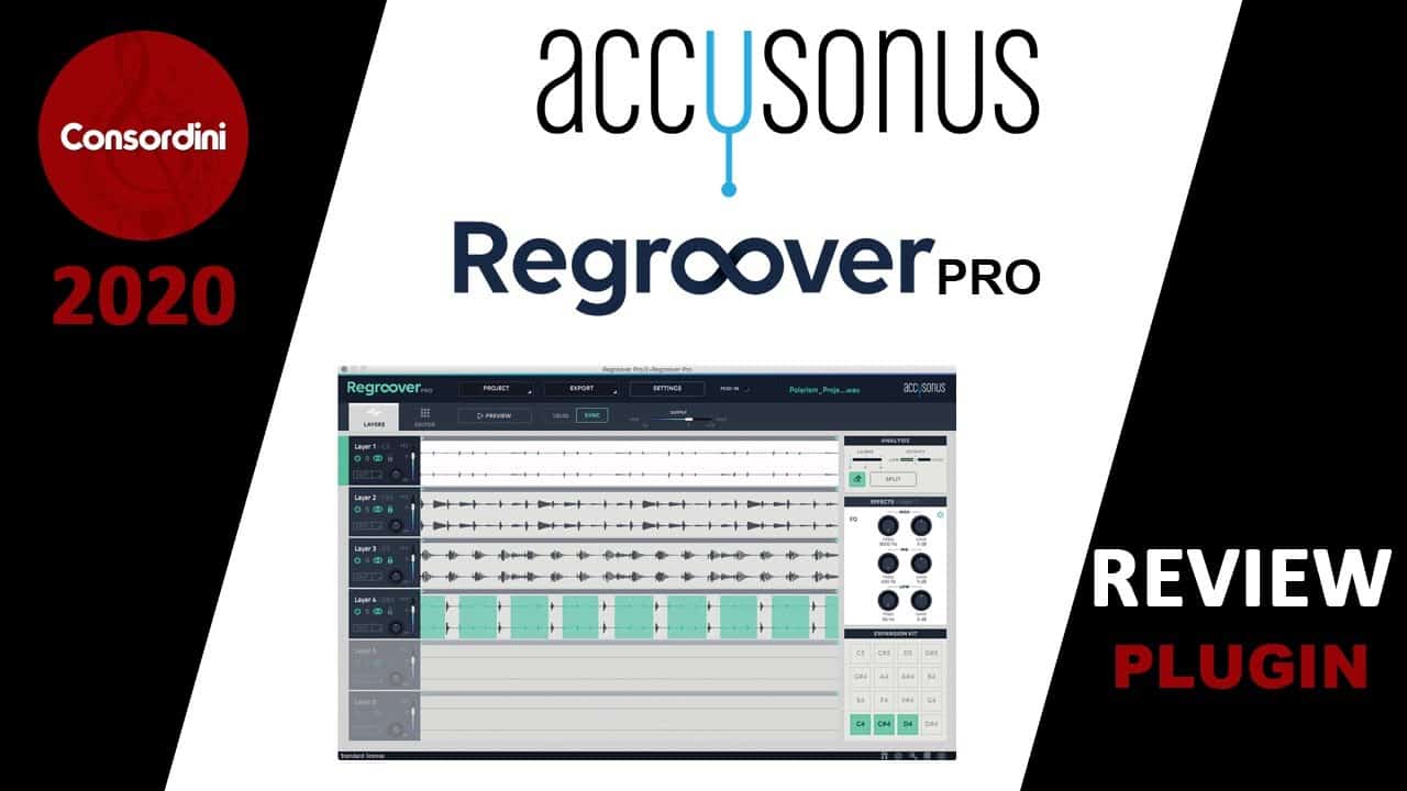Accusonus Regroover Pro Video Review [Professional Opinion]