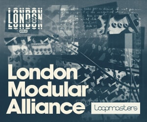 LM LONDON MODULAR ALLIANCE 300X250