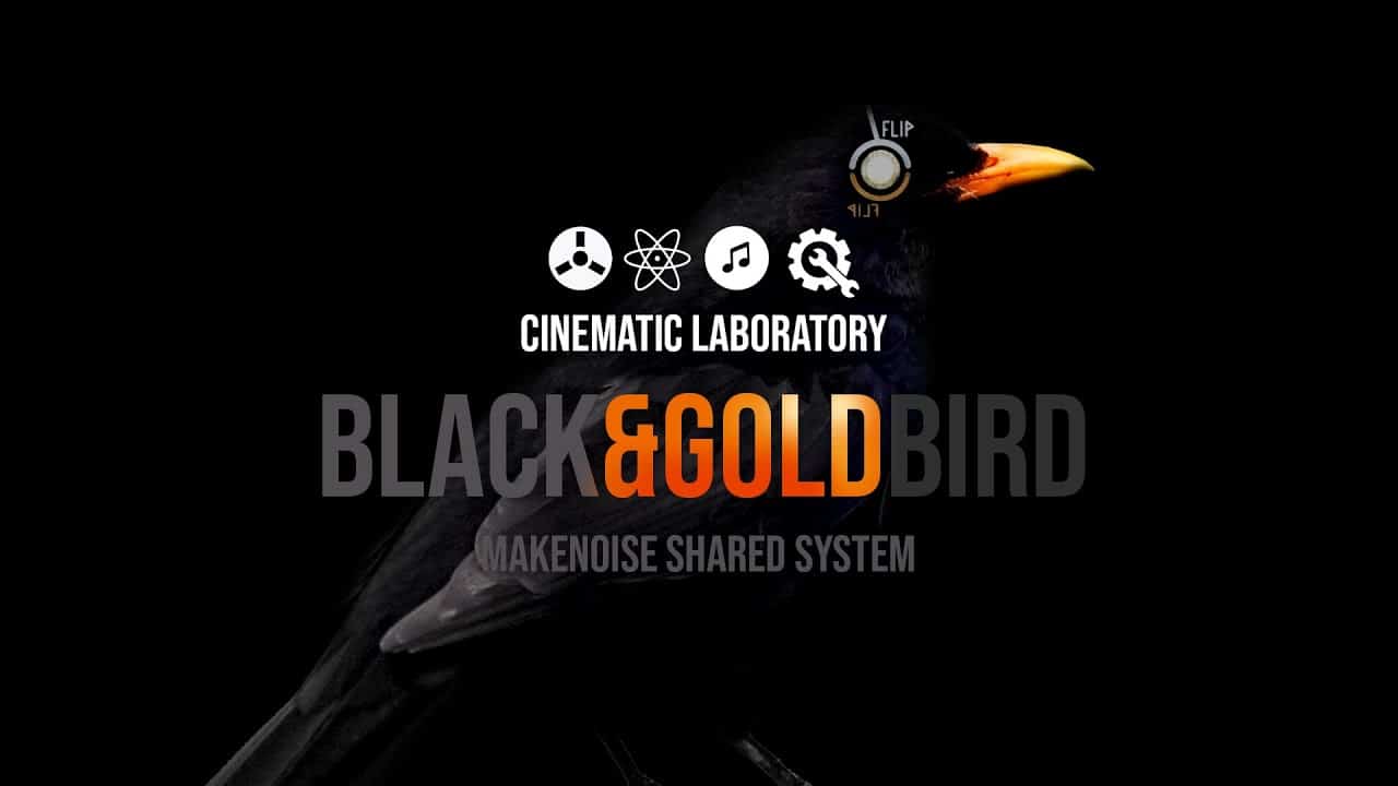 Blackbird | Make Noise Shared System
