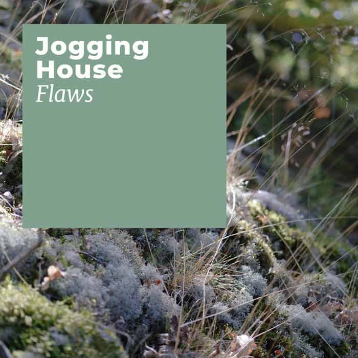 Flaws by Jogging House