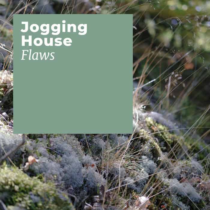 Flaws by Jogging House 31 Flaws by Jogging House