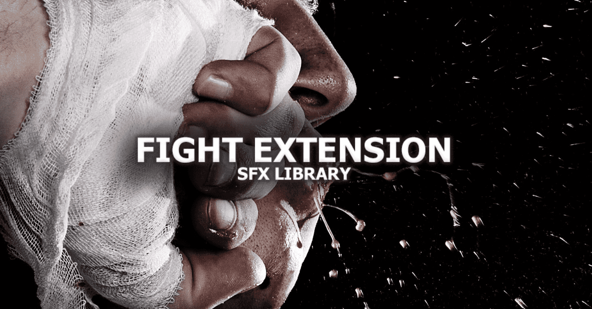 Tonsturm’s Fight Extension an Advanced Foley Sound Library