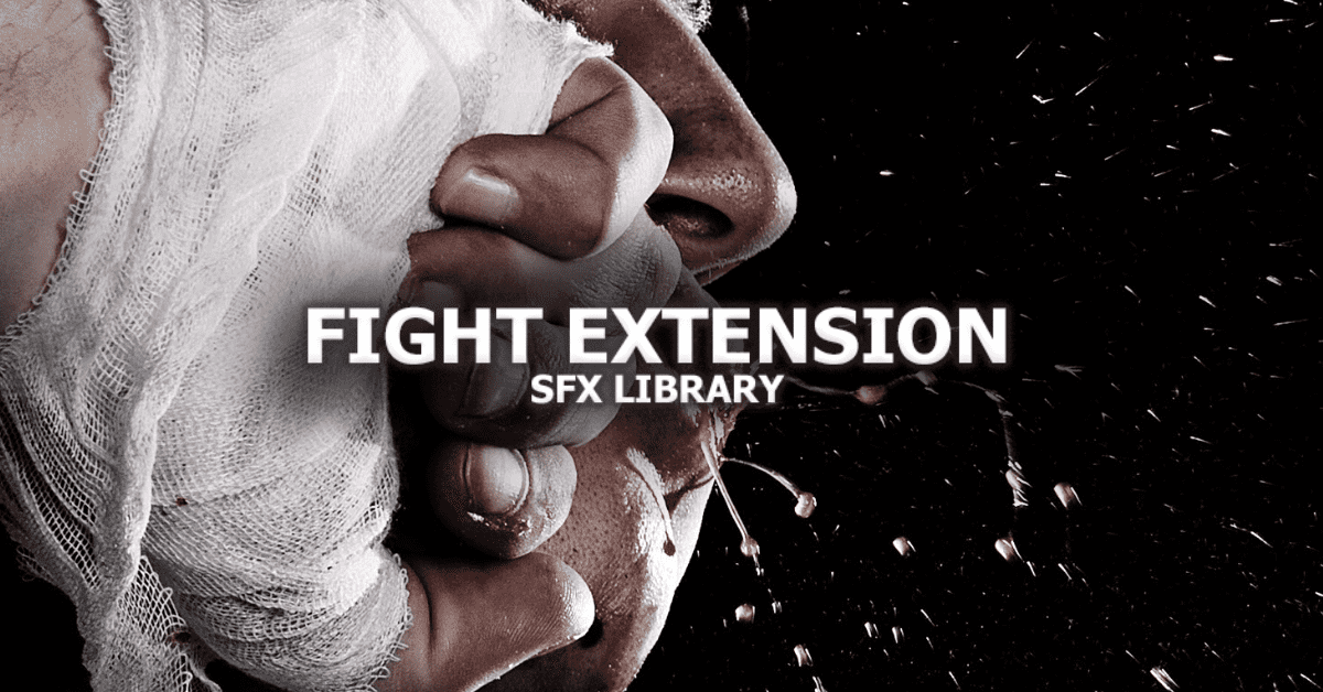 Tonsturm's Fight Extension an Advanced Foley Sound Library 31 image 19
