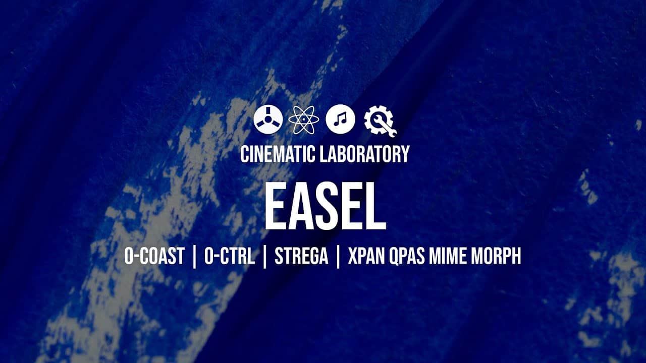 Make Noise Easel | 0-coast, 0-ctrl, Strega, XPAN, QPAS, Mimeophon & Morphagene 31 maxresdefault 31