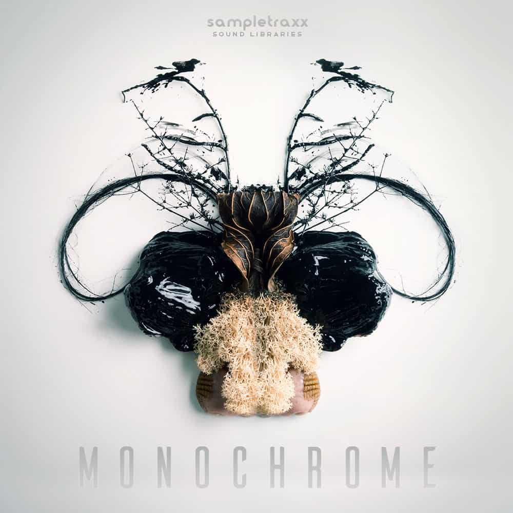 Monochrome – Experimental Electronic meets Cinematic Sound Design