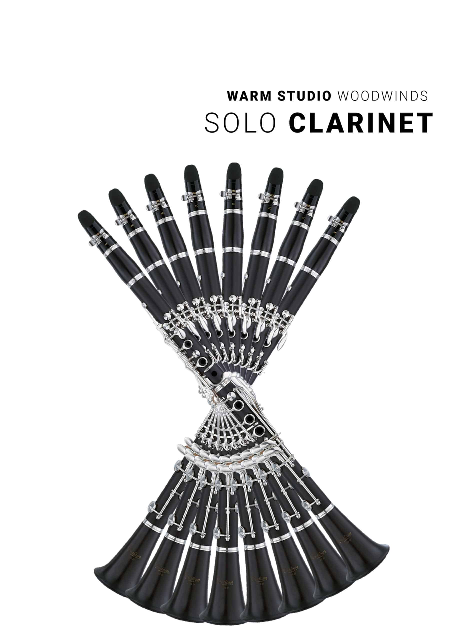 Solo Clarinet - Warm Studio Woodwinds - The Next Evolution of 8Dio's Woodwind Ensembles​